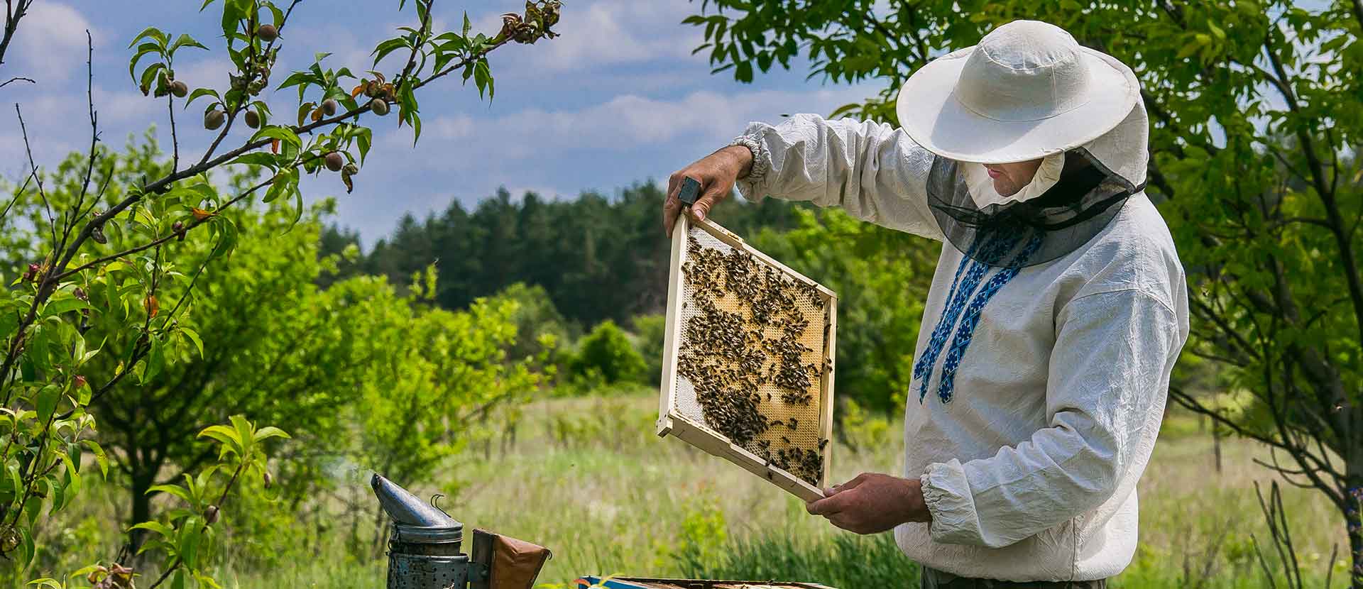 Organic Honey Suppliers